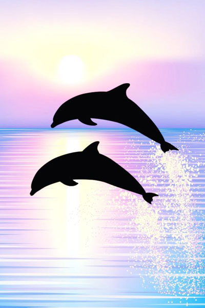Energie-Aktivierung (Ferne) mit Sirius-Delfinen