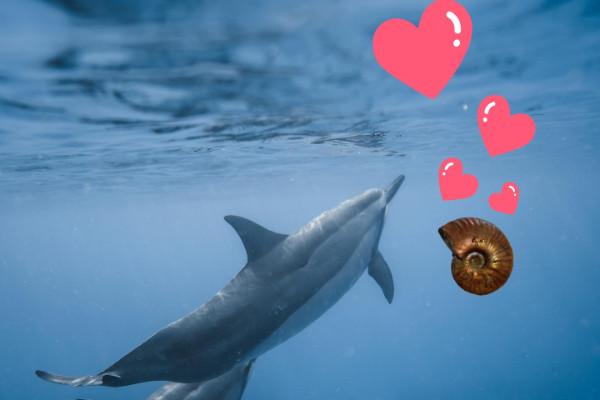 Fern-Heilkreise Delfin-Kristall und Einhörner von Lemuria