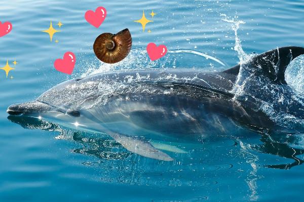 Fern-Heilkreise Delfin-Kristall und Einhörner von Lemuria