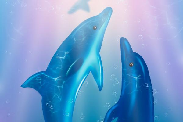 Energie-Aktivierung (Ferne) mit Sirius-Delfinen